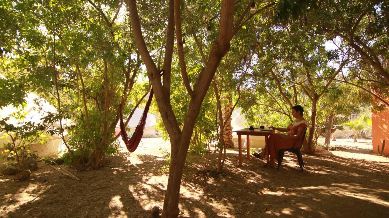 Todos Santos Hostel super fast&stable satellite wifi Esterno foto